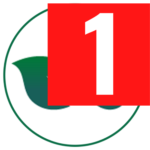 brainsavior.pages.dev favicon